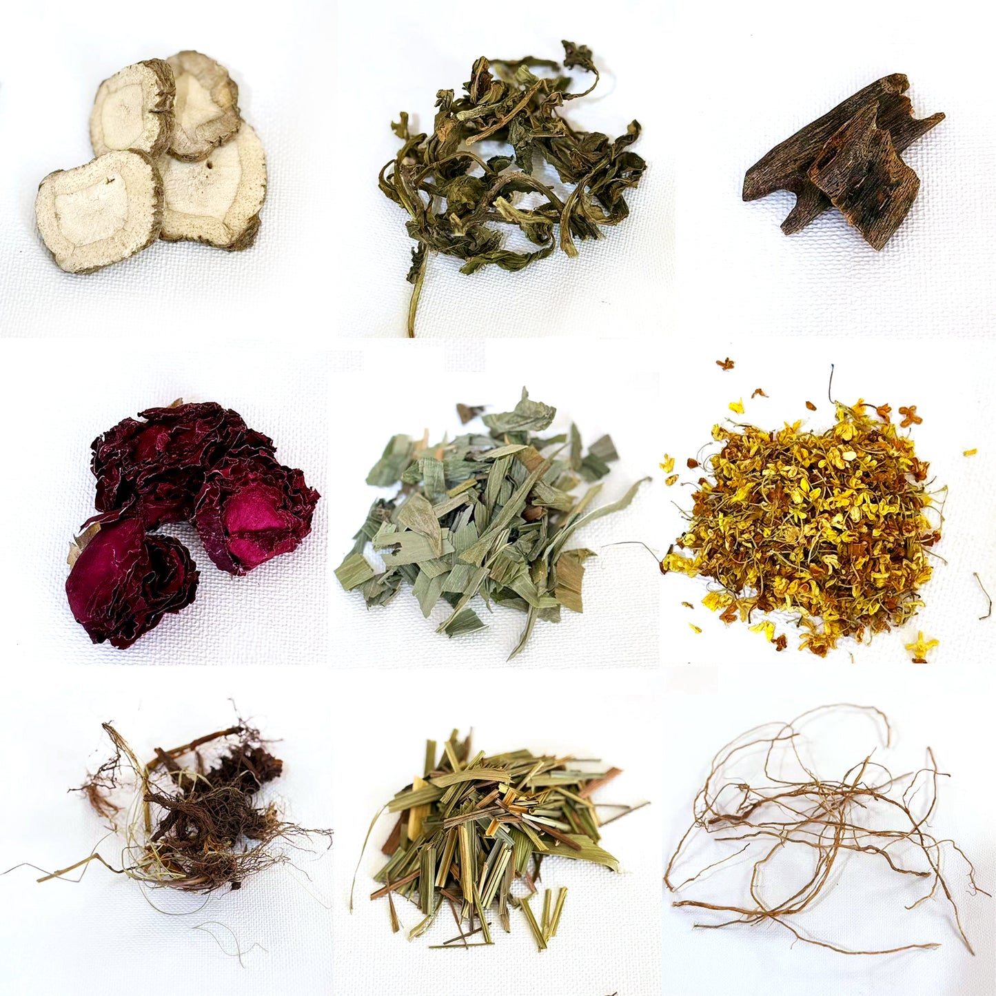 竹夢（たけゆめ） Bamboo Dream