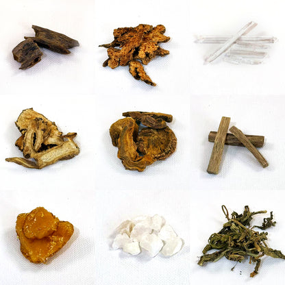 桜守（さくらもり）Cherry Guardian