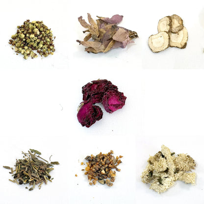 和漢静火（わかんせいか ）Quiet Flame