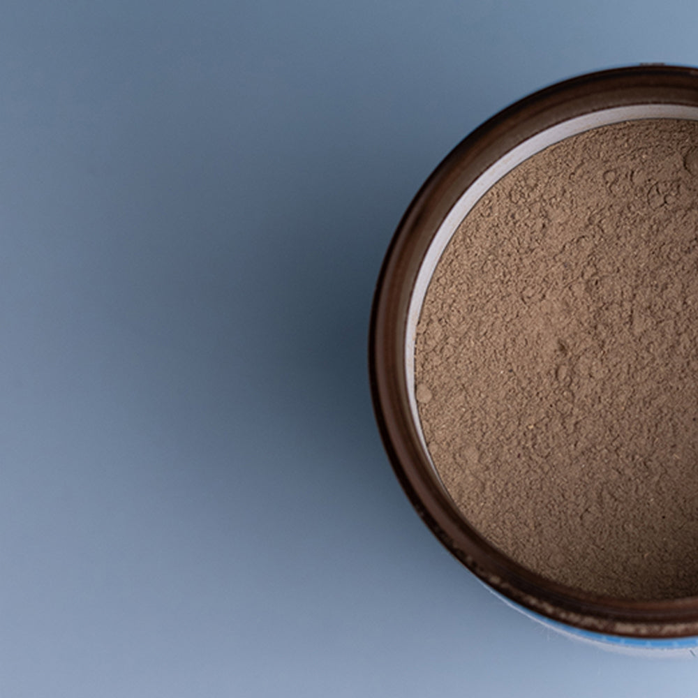 桜守（さくらもり）Cherry Guardian